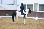 SBM_000397