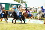 SBM_16639