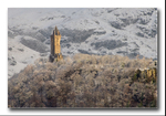 The National Wallace Monument (winter)