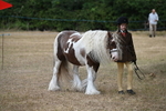 WJ6_7898