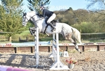 CLASS 16 SAT National 1.15m Members Cup Qualifier/ 1.15m Open portfolio