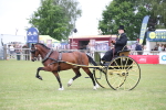 SBM_05754