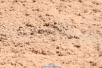 230526A-115206-01597