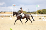 SBM_004223