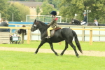 SBM_69967