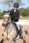 SAT Cls 13 Pony National 1.15m portfolio