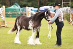 SBM_05968