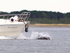 Bottlenose Dolphin in the bow wave of a boat near Chanonry Point