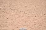230531A-133038-00449