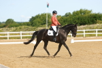 SBM_007002