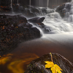 Glenariff Autumn