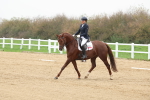 SBM_006673