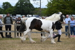 WJ6_8359