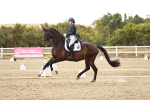 SBM_006892