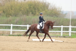 SBM_006687