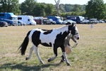 WJ6_7511