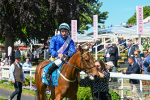 160525-Race 1-Secret Hideaway-6142