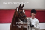 BPP_2370
