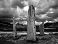 Landscapes portfolio