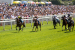 270523-Race 1-Doctor Khan Junior-0394