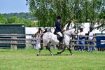 SBM_17394