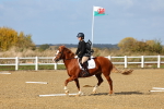 SBM_000964