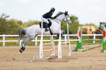 SBM_001686