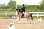 SBM_006442