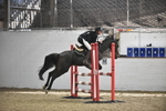 SJ8_0301