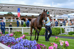 130626-Race 6-Point Of Contact-2270