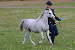 SIAL7764