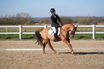 SBM_001989
