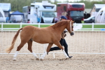 SBM_18721