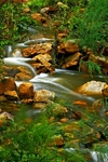 Morialta Stream1