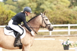 SBM_009914