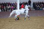 SBM_003635