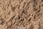 231015A-150522-08886