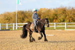 SBM_003276