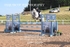 BPP_2639