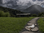 Dominican Rain Forest
