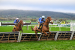 151125-Race 1-One Horse Town-2084
