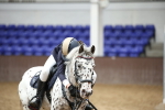 SBM_000970