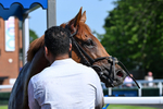 230626-Race 5-Percys Daydream-1607