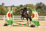 SBM_002263