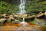 Black Clough