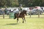 SBM_09295
