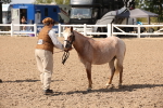 SBM_03411