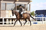 SBM_11643