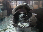 CHINA__0631