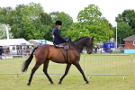SBM_02709